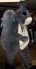Furcon04-016.jpg