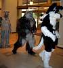 Furcon04-033.jpg