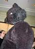 Furcon04-057.jpg