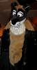 Furcon04-075.jpg