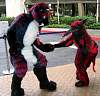 Furcon04-085.jpg