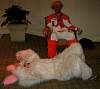 Furcon04-104.jpg